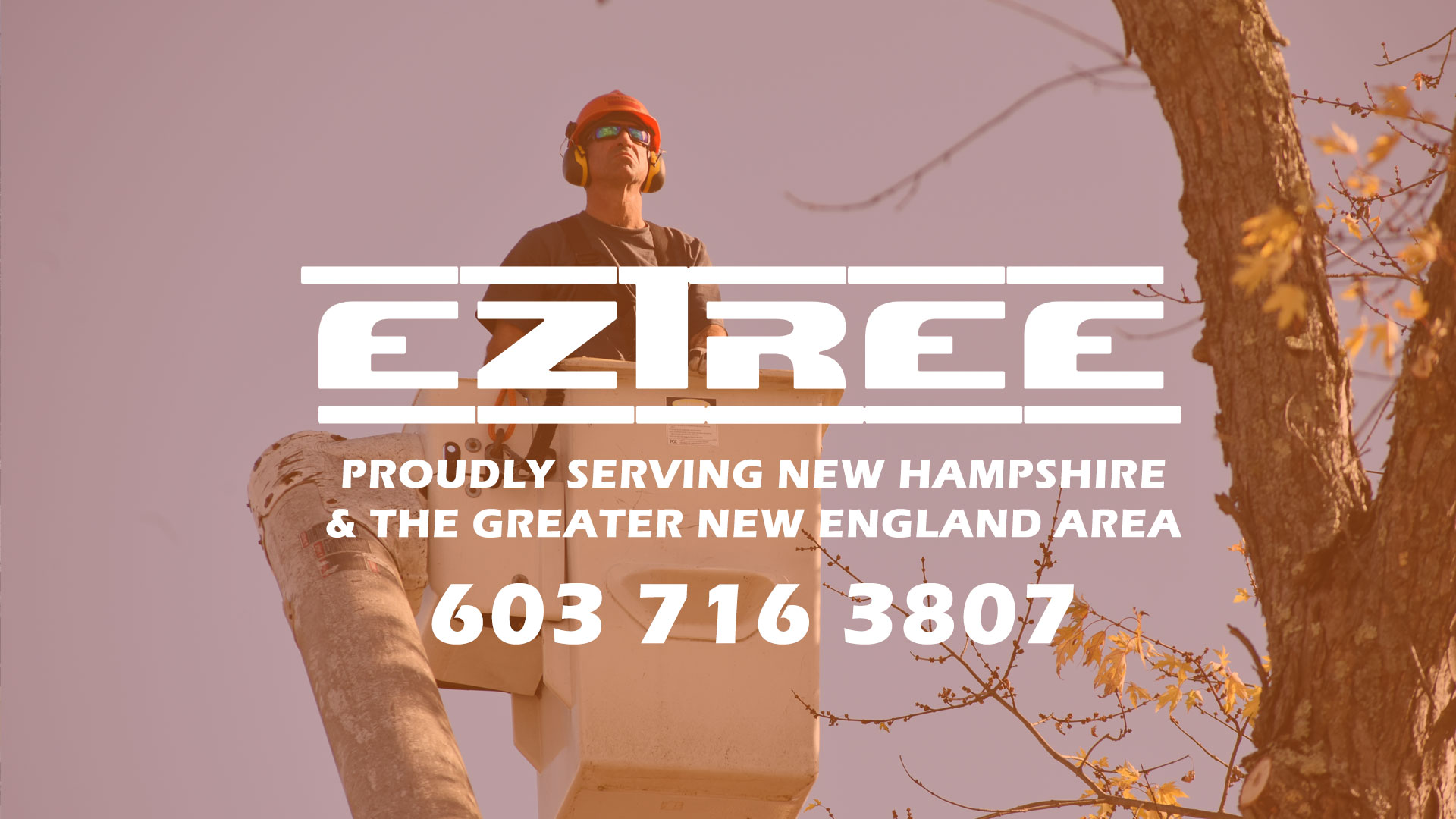 Southern New Hampshire Tree Removal Services