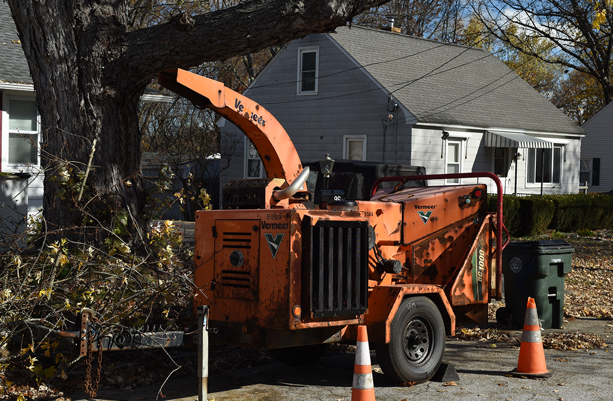 Tree Removal Services Near Manchester, NH